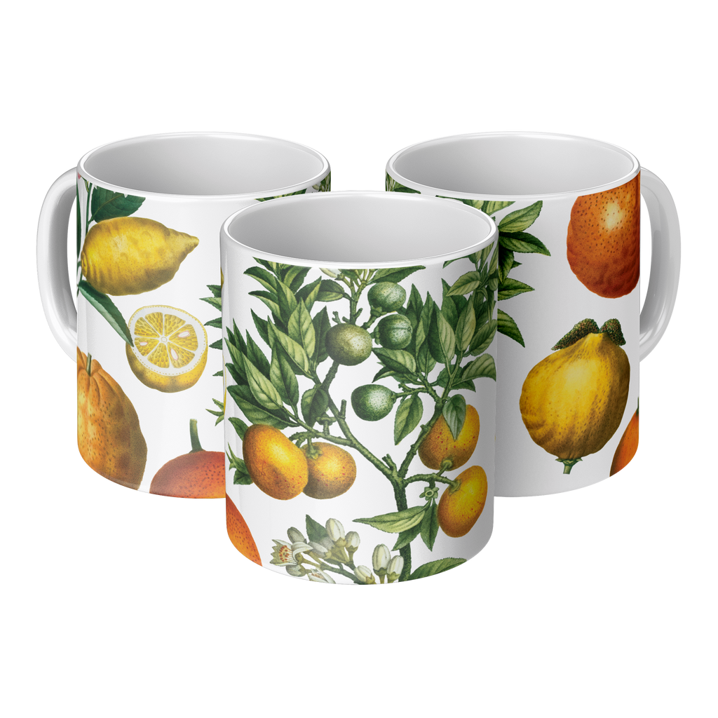 Orange_Lemon_Citrus_mug_11oz_3pc_Triangle_View_Mockup.png_15622747