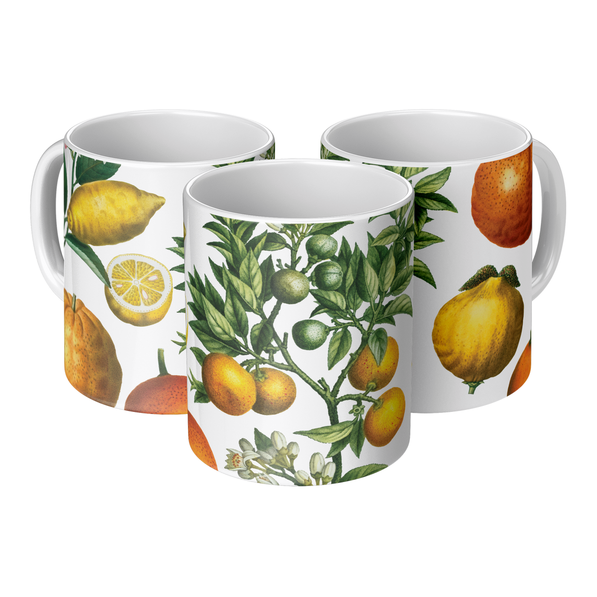 Orange_Lemon_Citrus_mug_11oz_3pc_Triangle_View_Mockup.png_15622747