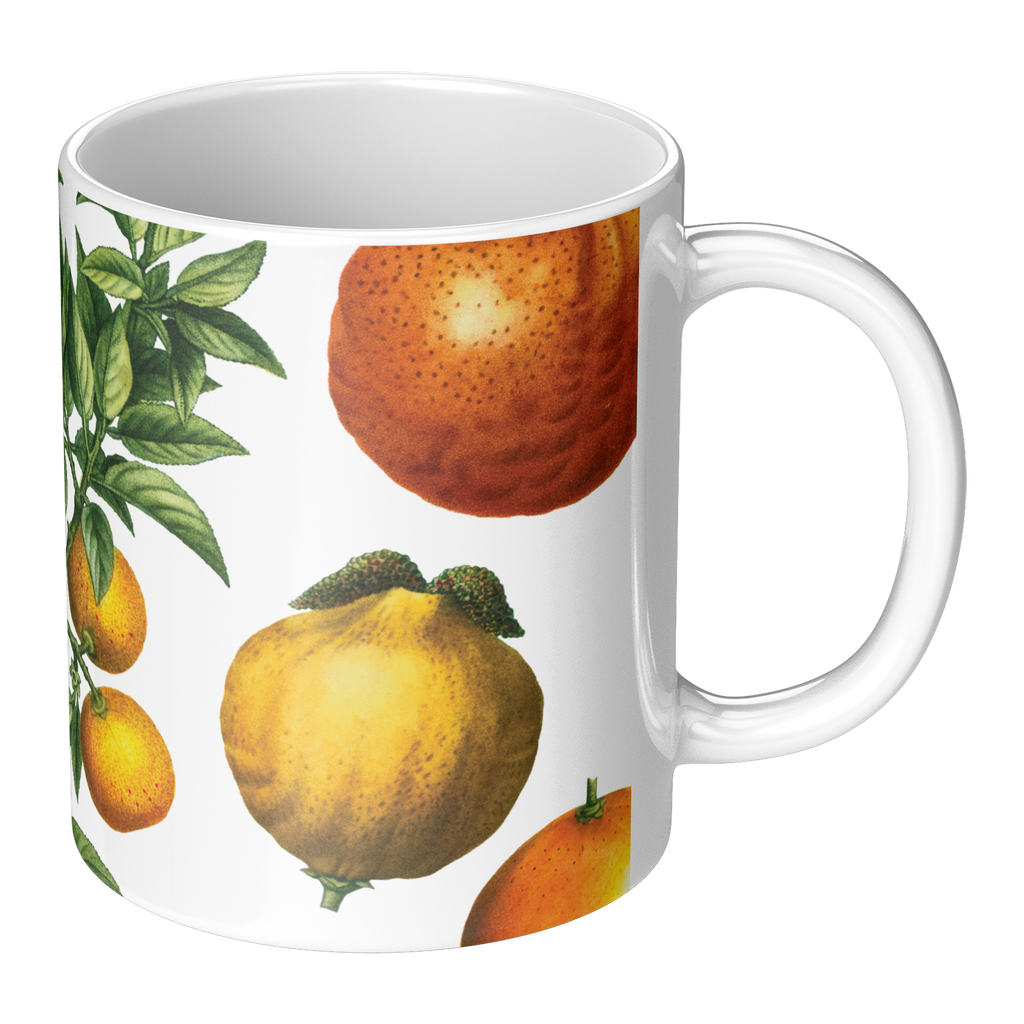 Orange_Lemon_Citrus_mug_11oz_RH_Main_Mockup.png_15622755